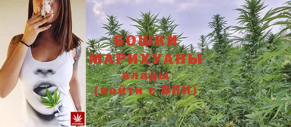 соль ск Струнино