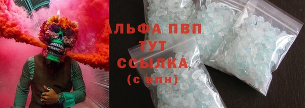 индика Балахна