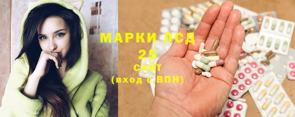 индика Балахна