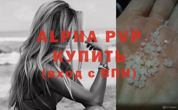 spice Баксан