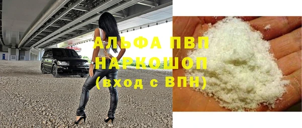 индика Балахна