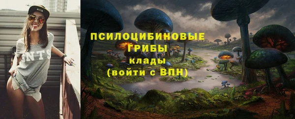apvp Балабаново