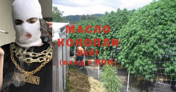 индика Балахна