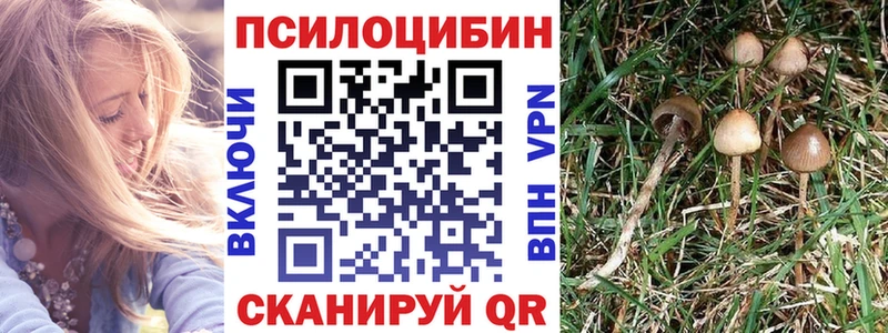 Псилоцибиновые грибы MAGIC MUSHROOMS  что такое   Верхнеуральск 